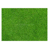 Aperturee - Spring Fresh Grass Lawn Rubber Floor Mat For Photo